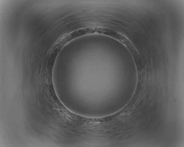 X0000080660919200612221047