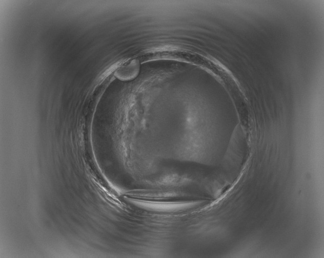 X0000080660921200612221047