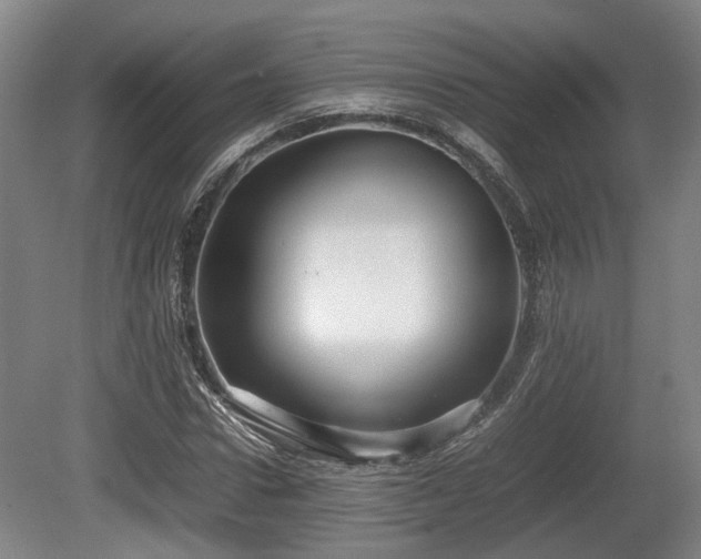 X0000080660922200612221047