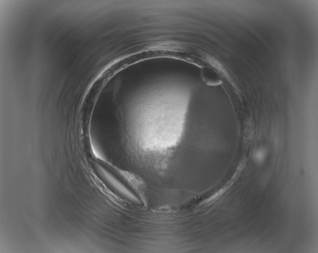 X0000080660923200612221047