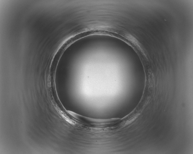 X0000080660924200612221047