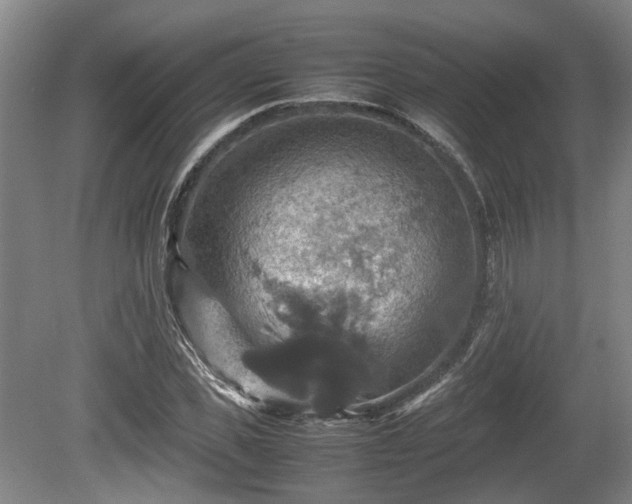 X0000080660925200612221047