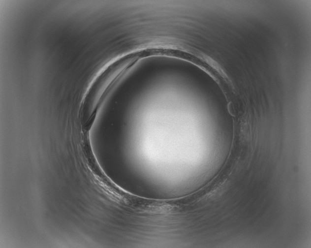 X0000080660926200612221047