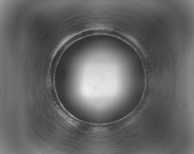 X0000080660927200612221047