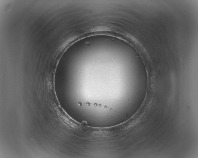 X0000080660929200612221047