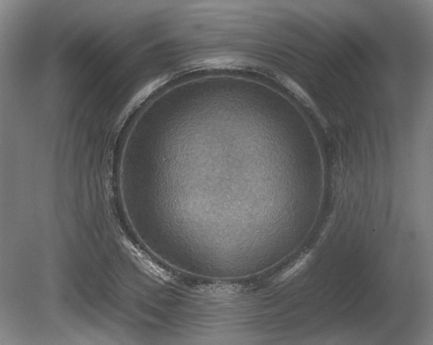X0000080660930200612221047