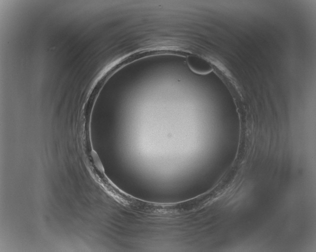 X0000080660933200612221047