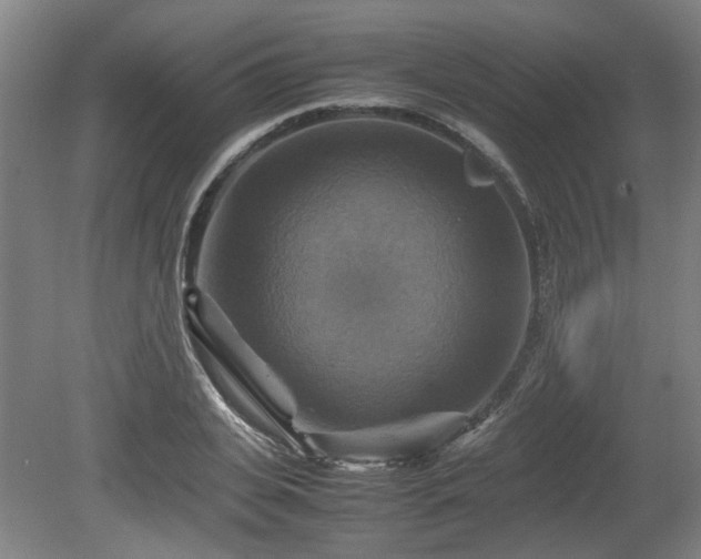 X0000080660935200612221047