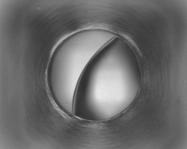 X0000080660936200612221047