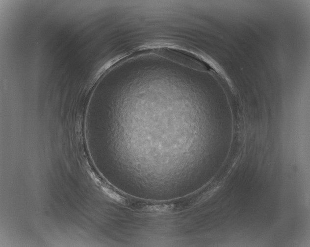 X0000080660937200612221047