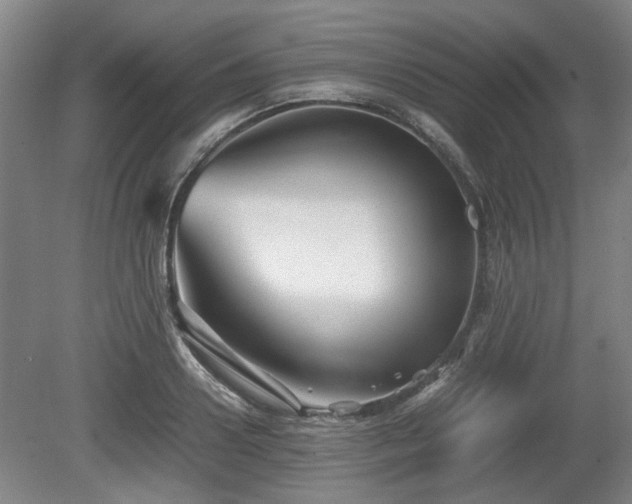 X0000080660938200612221047