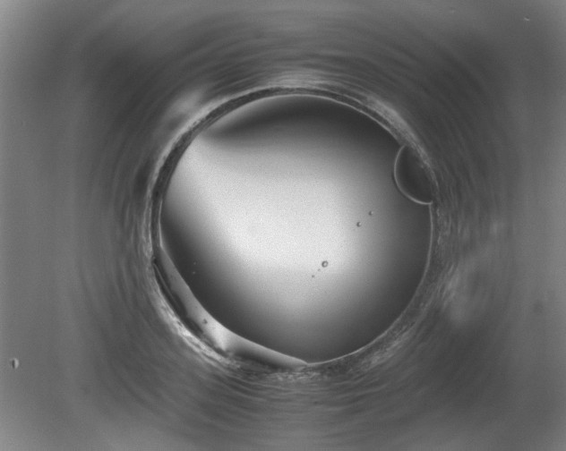 X0000080660939200612221047