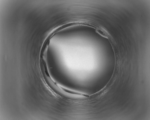 X0000080660940200612221047