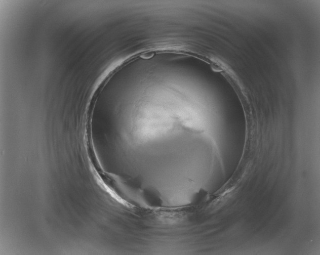 X0000080660941200612221047