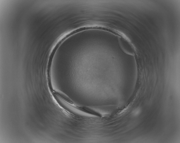 X0000080660943200612221047