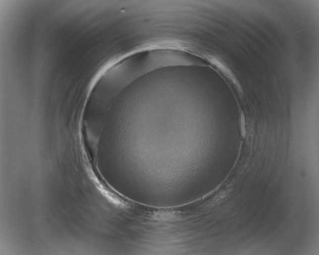 X0000080660944200612221047