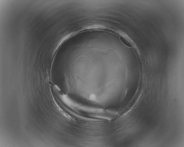 X0000080660945200612221047