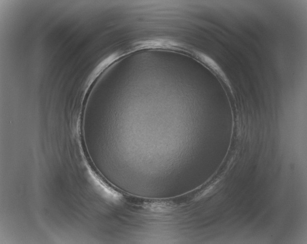 X0000080660946200612221047