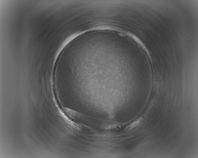 X0000080660951200612221047