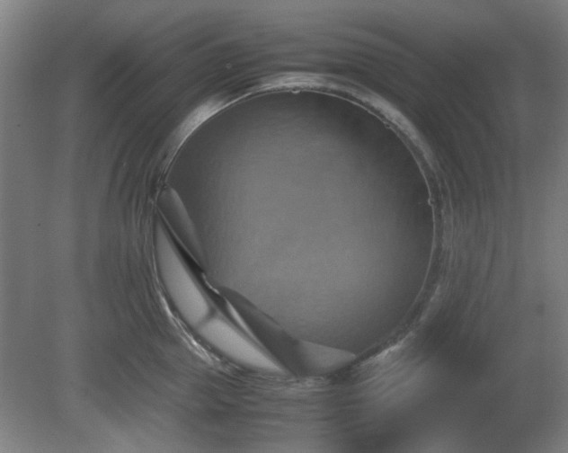 X0000080660953200612221047