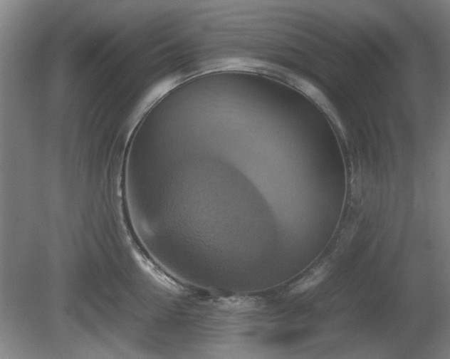 X0000080660954200612221047