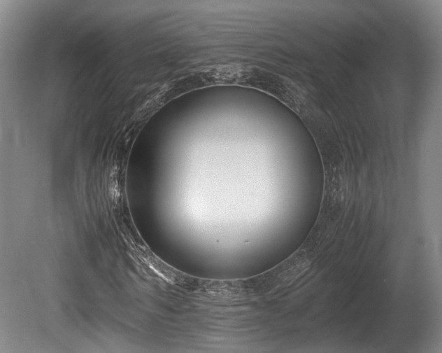 X0000080660962200612221047