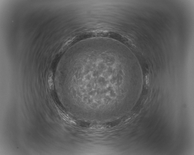 X0000080660963200612221047