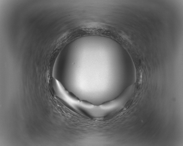 X0000080660965200612221047