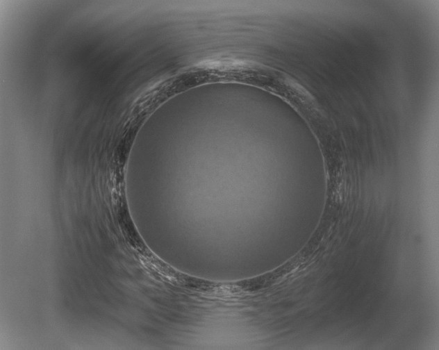 X0000080660966200612221047