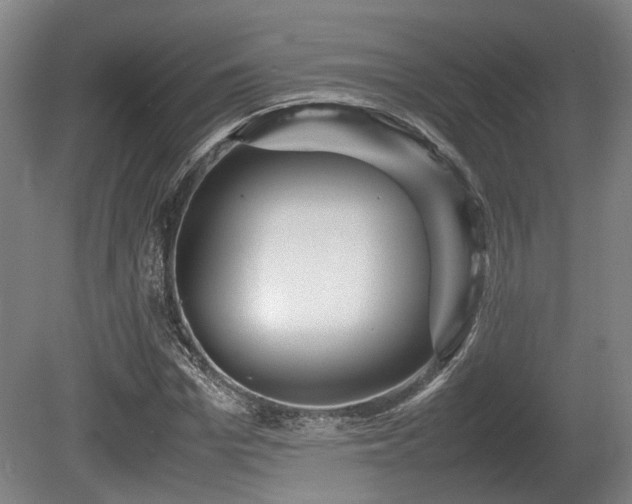 X0000080660969200612221047