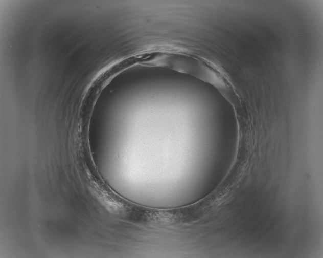 X0000080660971200612221047