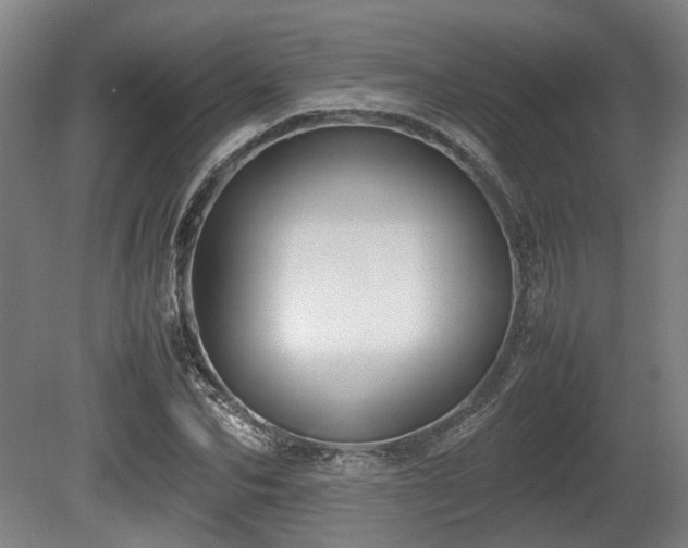 X0000080660974200612221046