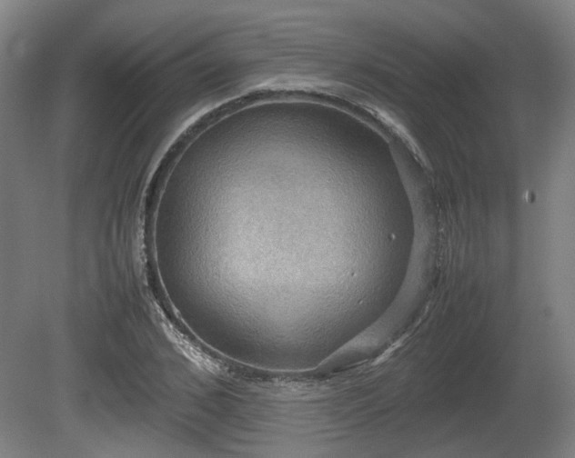X0000080660976200612221046