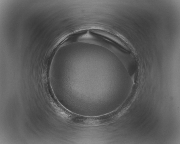 X0000080660977200612221046