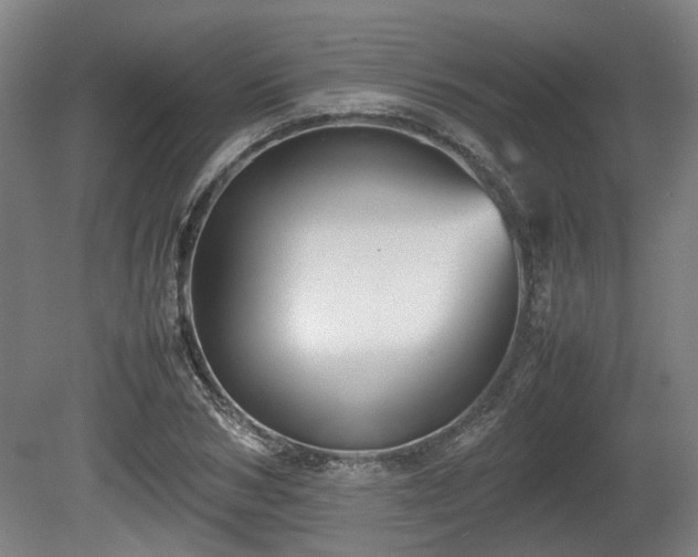 X0000080660978200612221046