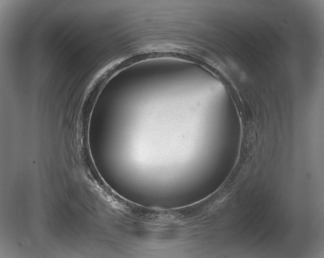 X0000080660979200612221046