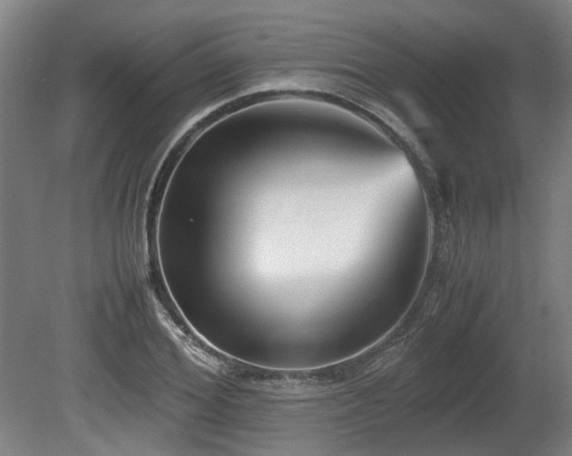X0000080660980200612221046
