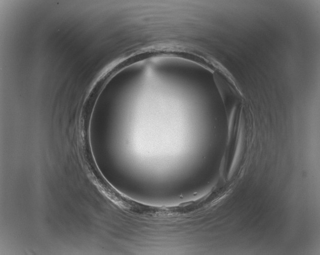 X0000080660981200612221046