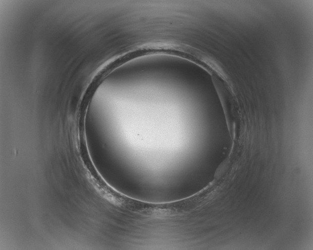 X0000080660984200612221046