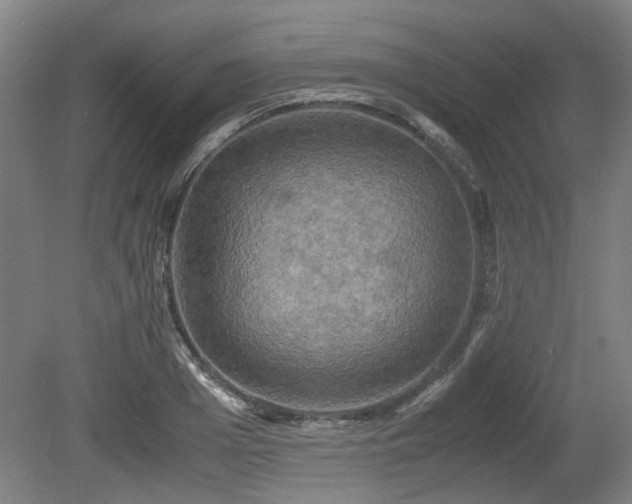 X0000080660985200612221046