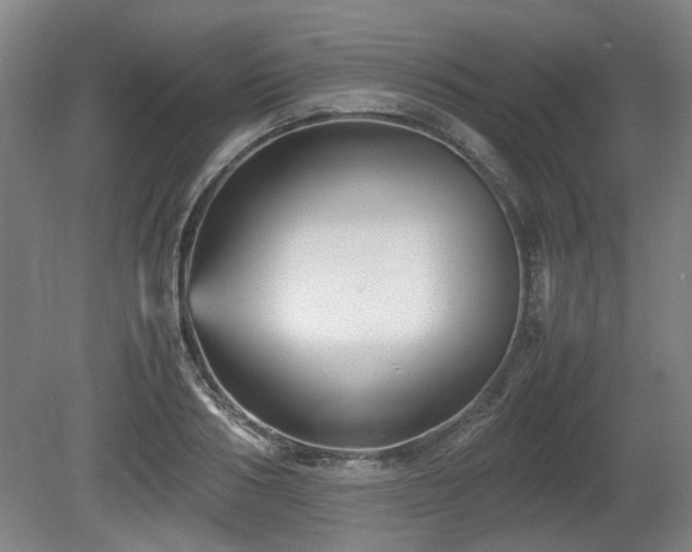 X0000080660986200612221046