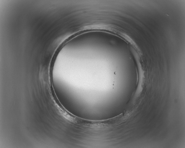 X0000080660988200612221046