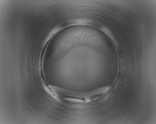 X0000080660994200612221046