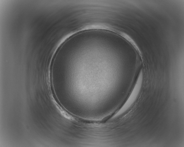 X0000080660996200612221046