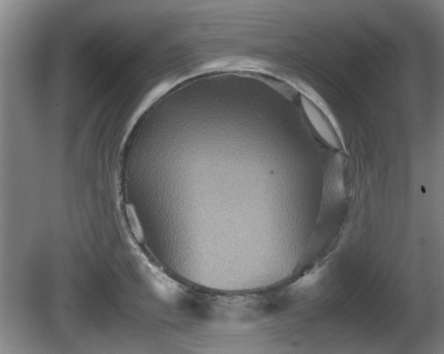 X0000080660997200612221046
