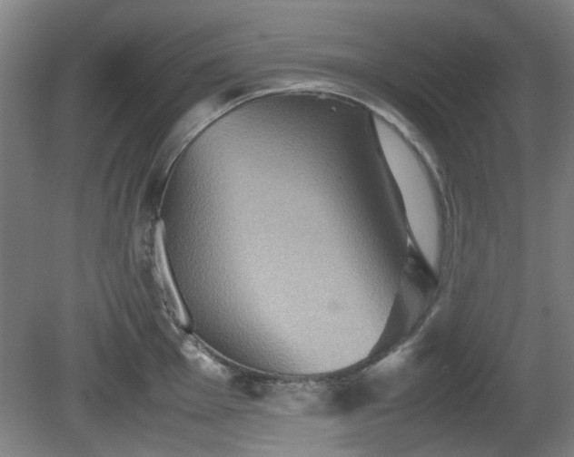 X0000080661001200612221046