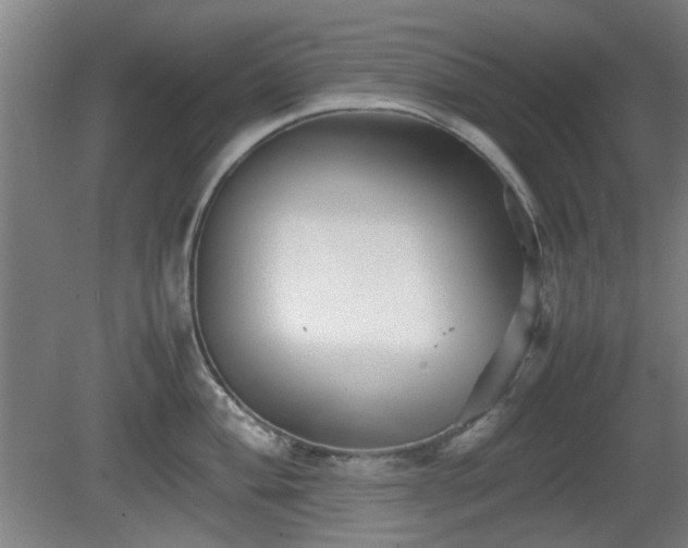 X0000080661004200612221046