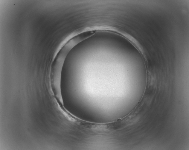 X0000080661006200612221046