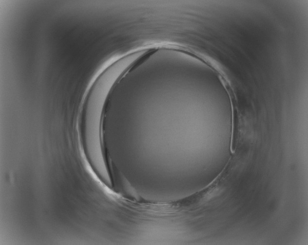 X0000080661007200612221046