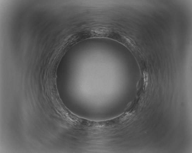 X0000080661009200612221045